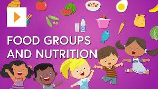 Food Groups And Nutrition