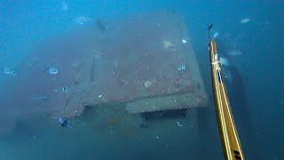 Spearfishing SHIPWRECK with NEW TROLLING MOTOR on the PANGA!