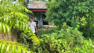 Help homeless couple clean up abandoned house to live in - Cut overgrown, invasive grass