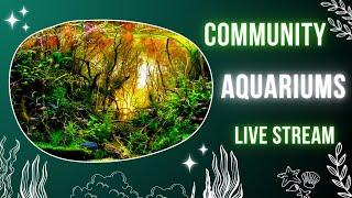 Community Aquarium Q&A - Ask Me Anything About Fish Compatibility!