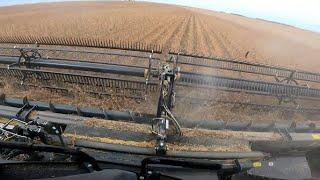 Soybean Harvest and Making Bin Space