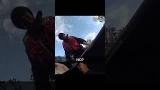 Dog rescued from Milton floodwaters & carried in basket
