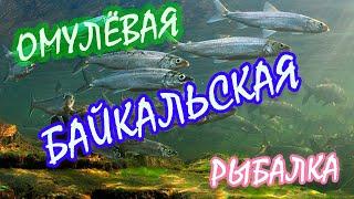 ОМУЛЁВАЯ БАЙКАЛЬСКАЯ РЫБАЛКА В БАРГУЗИНСКОМ ЗАЛИВЕ. Июль 2023 год.