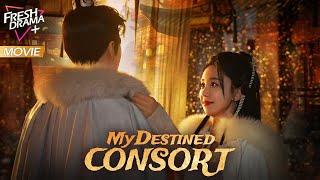 EP01【Multi-sub】My Destined Consort | Framed By Husband, Returned For Revenge To Save Her  Ailing Son