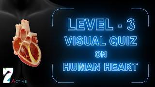 Visual Quiz on Human Heart (Level - 3)