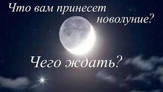 Что вам принесет новолуние? Чего ждать?🪄