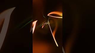 Abstract Background Video 4k TV VJ LOOP NEON Green Orange Visual Hypnotic Visual ASMR Motion Graphic