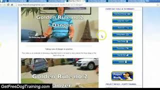 Doggy Dan's Online Dog Trainer Review - Doggy Dans 5 Golden Rules