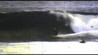 TERRY FITZGERALD SURFING WEST COAST 70s