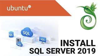 Install Microsoft SQL Server 2019 on Ubuntu 20.04