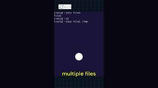 Master the cp Command in Linux! ️ | #linuxadministrator #programm #linuxguides #linuxcertification