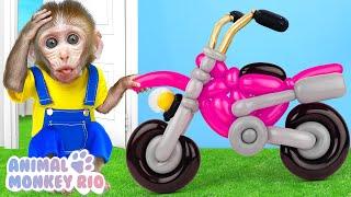 Monkey Rio plays with balloon motorbike with little monkey | Animal Monkey Rio