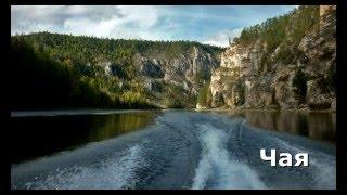 На моторной лодке по реке Чая