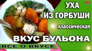  Рецепт ухи классической из горбуши / Просто объедение