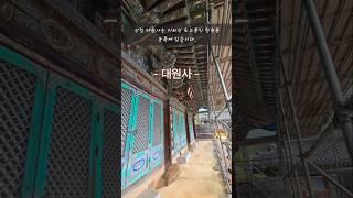 [대원사 대웅전입니다] 성불하여지이다.  #사찰여행 #사찰소개 #소원성취발원 #사찰풍경 #불교공부 #travel  #shorts #healing #temple