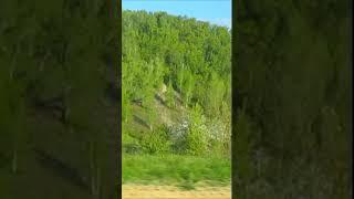 Красивый пейзаж. Вид из машины