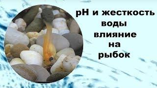 Как рН и жесткость воды влияют на аквариумных рыбок.