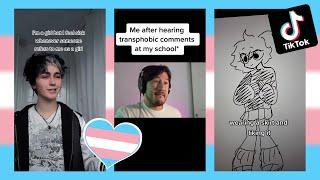 Trans TikToks Compilation #1