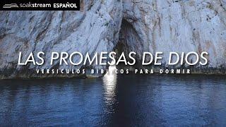 Las Promesas de Dios | Versiculos Biblicos Para Dormir