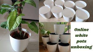 meesho/flipkart white pots unboxing and review/unboxing white pots