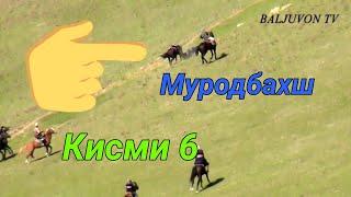 Бузкаши дар д Муродбахш н Темурмалик Кисми 6