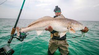 BLUE CRAB FOR BAIT caught a personal RECORD redfish