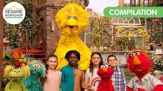 Sesame Workshop: Here for Each Other | Support During Emergencies