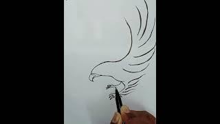 Flying eagle  Drawing || Bat chora karta face pe song #shorts