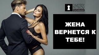 Как вернуть жену [Как получить шанс в последний момент] Дмитрий Петров