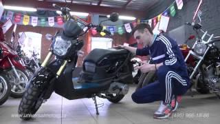 Скутер Honda ZOOMER 150