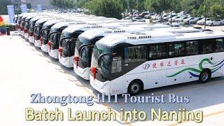 Zhongtong H11 Tourist Bus Batch Launch into Nanjing