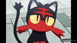 Catnap se convierte en Litten (mi versión)