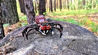 Lego spider