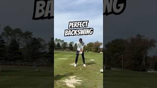 THE PERFECT BACKSWING