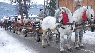 Parada cailor Câmpulung Moldovenesc-Bucovina 27 Decembrie 2024 ep. 1