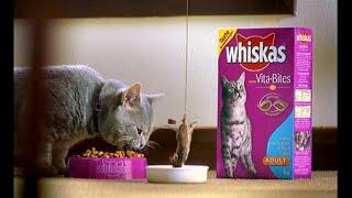 Whiskas Vitabites - Bungee (2003, Australia)