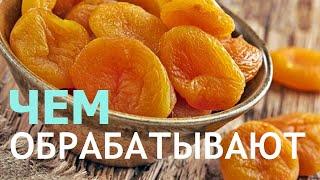 Чем обрабатывают курагу