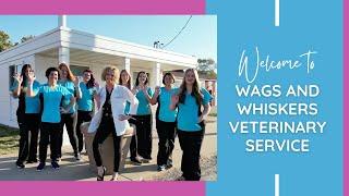 Wags and Whiskers Veterinary Service | Peoria Pet Care | Welcome to Our Practice