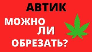 МОЖНО ЛИ ОБРЕЗАТЬ АВТОЦВЕТЫ? | ДЕФОЛИАЦИЯ АВТОЦВЕТОВ | ОБРЕЗКА АВТИКОВ | ДЕФОЛИАЦИЯ АВТИКОВ