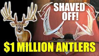 BREAKING: Largest Typical Buck Antlers SOLD for $1 Million & Were ALTERED?