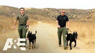 Police K9 Unit Goes Head-To-Head With His Own Boss | America's Top Dog | A&E