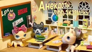 LPS/ АНЕКДОТЫ про ЭКЗАМЕНЫ / Littlest pet Shop