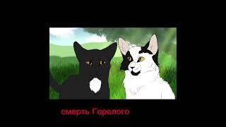 грустные моменты #warriorcats #реки2024 #котывоители #пепелица