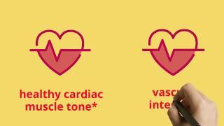 Cardiovascular Support