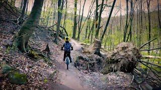 4 year old kid riding mountain bike singletrack on Early Rider Belter 16"