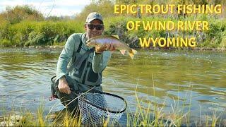 Epic Small Stream Trout Fishing | Wind River Country Wyoming