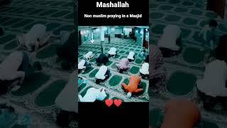 Non Muslim In the Mosque #viral #islamicstatus #lifewithislam #shorts