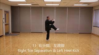 Yang Style Taijiquan 28 Form