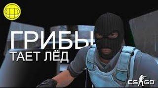 ГРИБЫ - Тает лед CS:GO