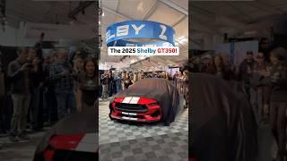 The Shelby GT350 is back!   #Shelby #GT350 #Ford #Shorts #Cars